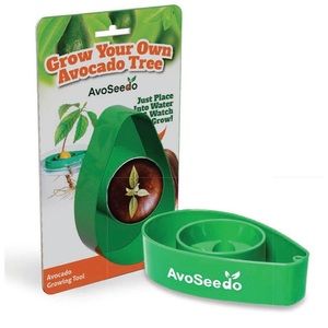 Avocado Growing Tool by AvoSeedo - NWT